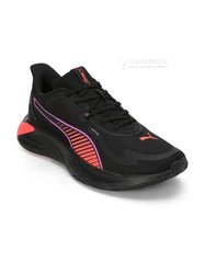 Tenis homme